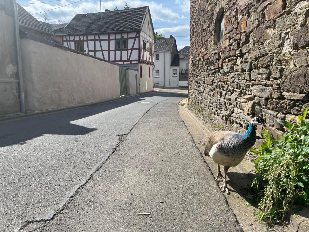 Keller Hoehe Andernach Kültér fotó